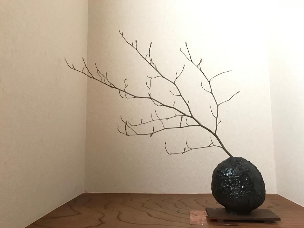 Sayama Aesthetics School Hotell Osakasayama Eksteriør bilde